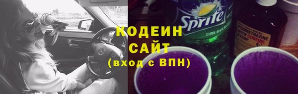 МДПВ Снежинск