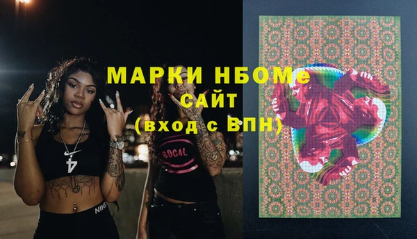 МДПВ Снежинск