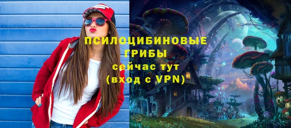 МДПВ Снежинск