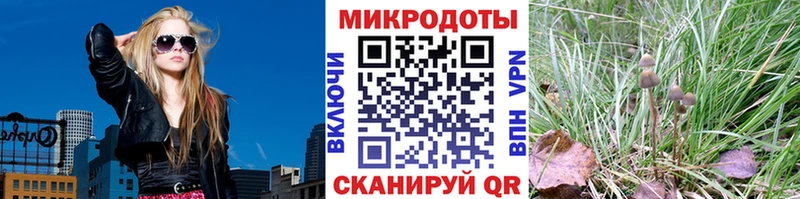 Галлюциногенные грибы GOLDEN TEACHER  купить наркоту  Буй 